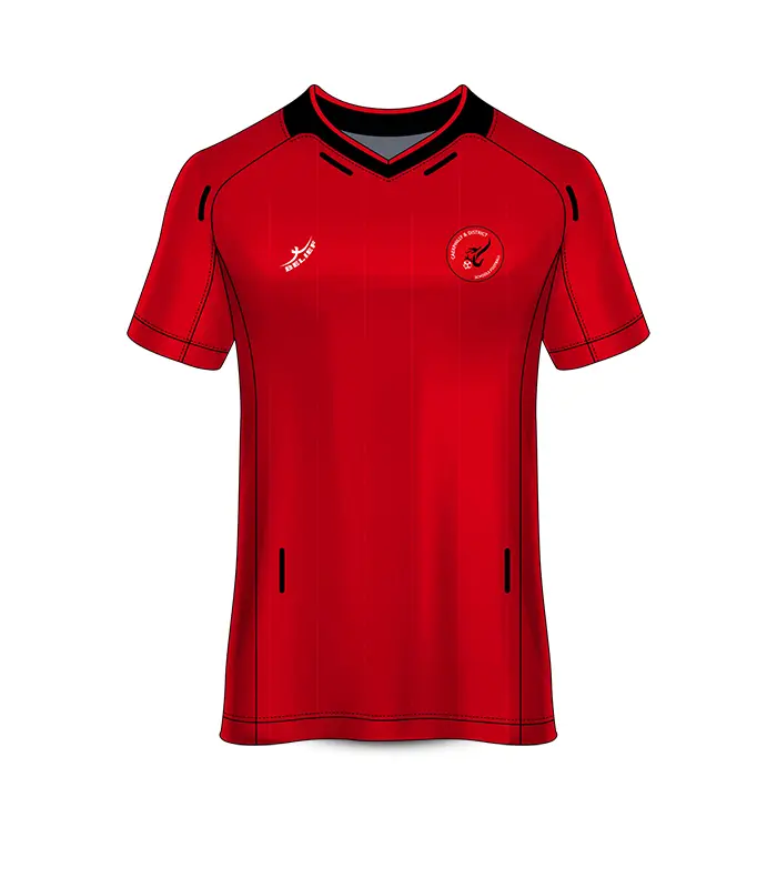 Home Top Caerphilly Sch