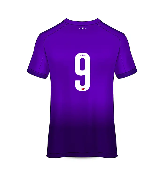 Football Top Porth Harlequins BGC